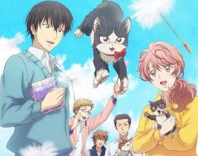 انمي Doukyonin wa Hiza Tokidoki Atama no Ue الحلقة 5