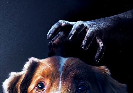 مشاهدة فيلم Good Boy 2025 مترجم