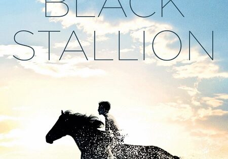 مشاهدة فيلم The Black Stallion 1979 مترجم
